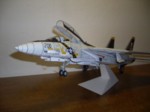 F-14 Tomcat (14).JPG
<KENOX S760  / Samsung S760>
105,95 KB 
1024 x 768 
16.11.2013
